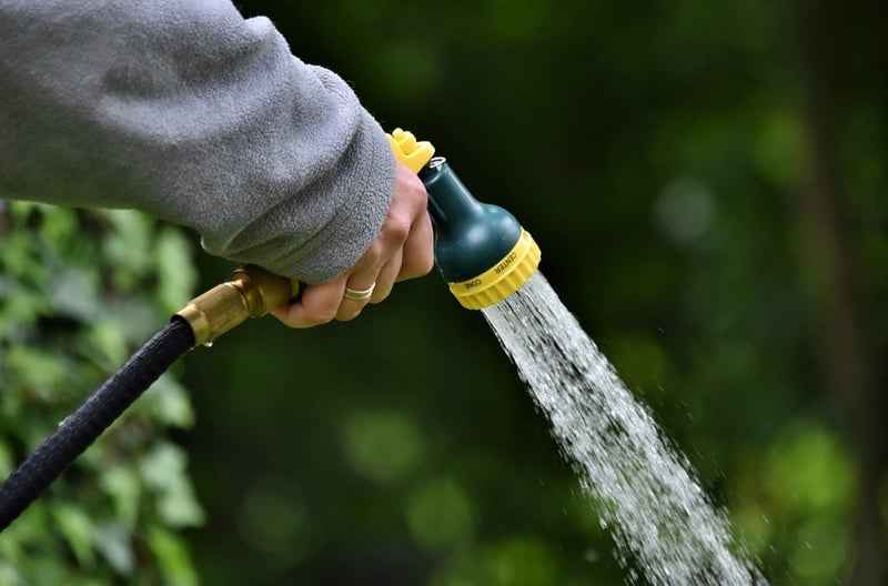 Crystal gardening tools